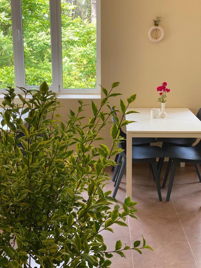 Buxus Hotel Shekvetili Екстер'єр фото
