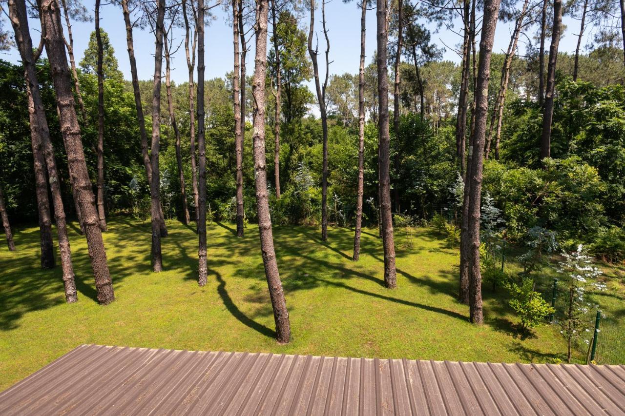 Buxus Hotel Shekvetili Екстер'єр фото