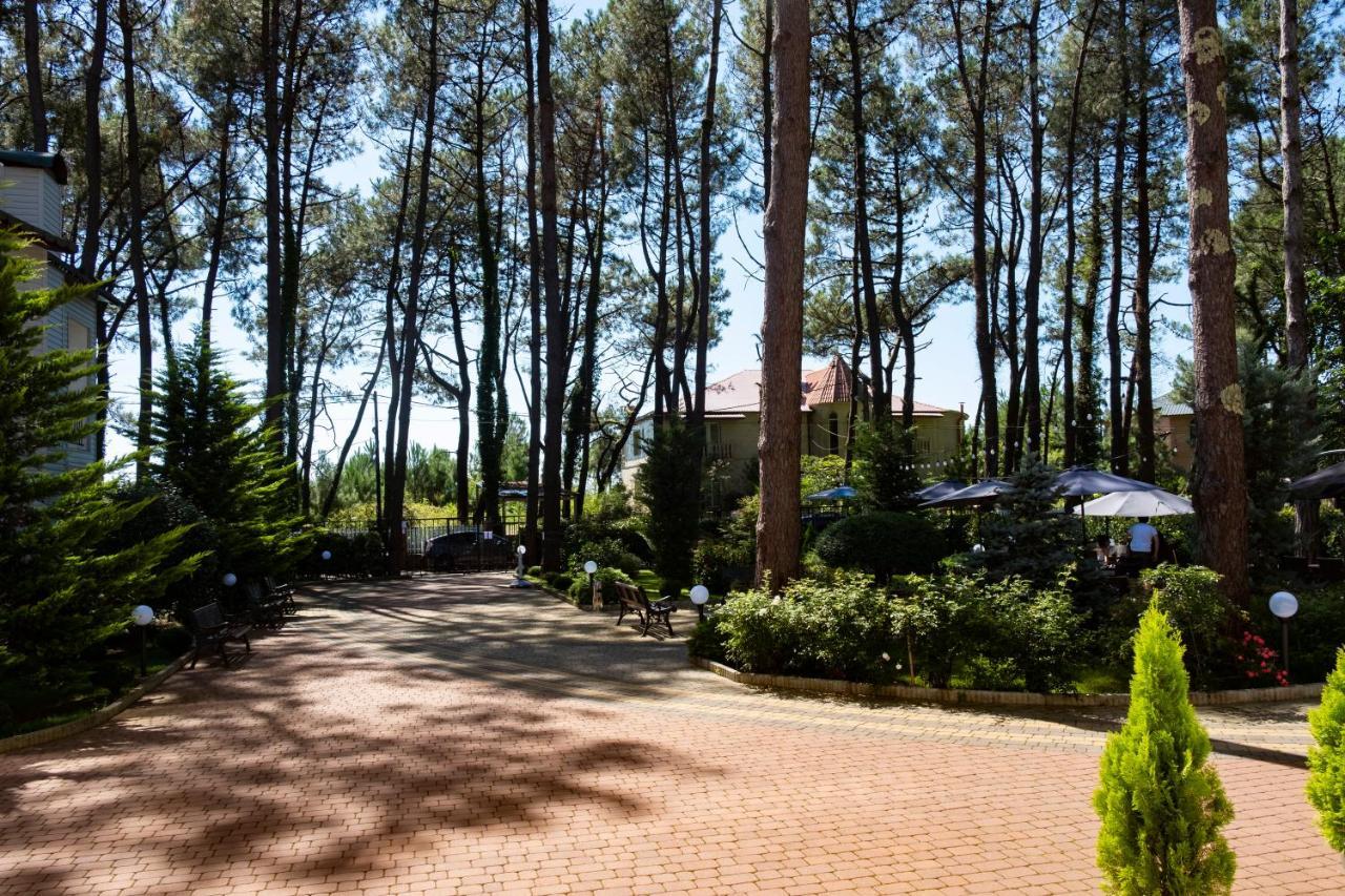 Buxus Hotel Shekvetili Екстер'єр фото
