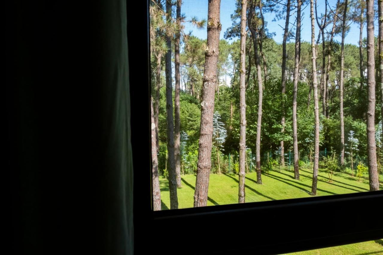 Buxus Hotel Shekvetili Екстер'єр фото