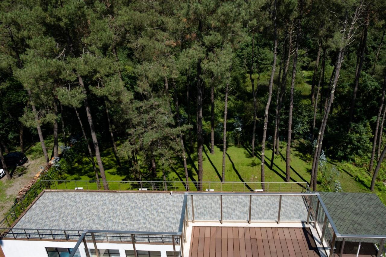 Buxus Hotel Shekvetili Екстер'єр фото