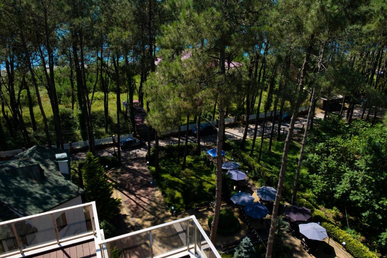 Buxus Hotel Shekvetili Екстер'єр фото